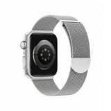 Arc Magnetic Mesh Watch Band