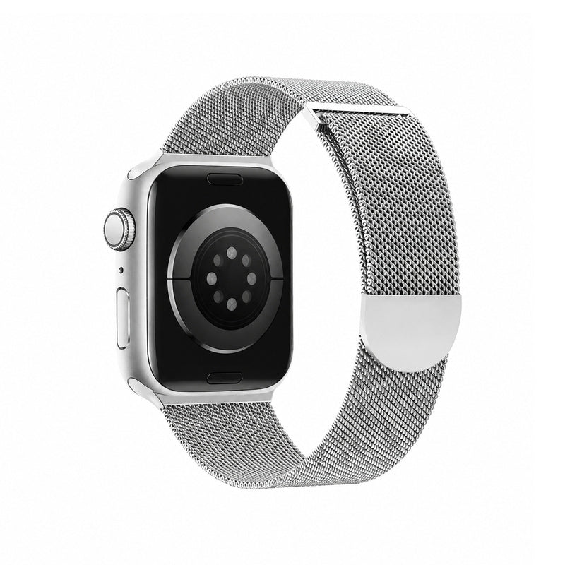 Arc Magnetic Mesh Watch Band