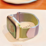 Arc Magnetic Mesh Watch Band